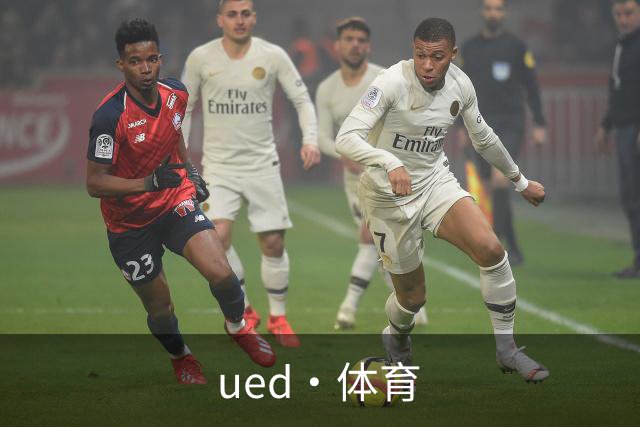 ued·体育公司简介图片